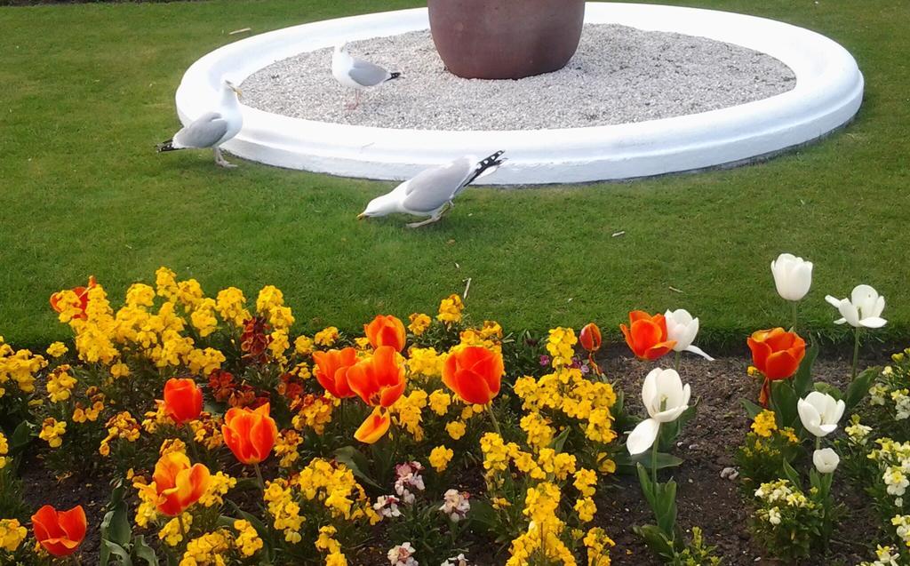 Sterling Lodge Hotel Eastbourne Zewnętrze zdjęcie